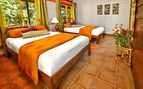 Pachira Lodge